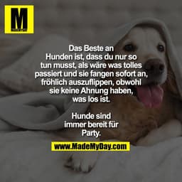 Das Beste an Hunden ist, dass du nur so tun musst, als wäre was
tolles passiert und sie fangen
sofort an, fröhlich auszu