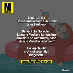 Liege auf der Couch und schaue eine Doku über Faultiere.
Da sagt der Sprecher: „Manche Faultiere fahren ihren Kreislauf