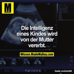 Die Intelligenz eines Kindes wird von der Mutter vererbt.

mmd.to/c05S