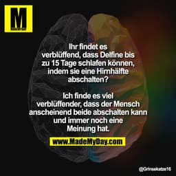 Ihr findet es verblüffend, dass Delfine bis zu 15 Tage schlafen können, indem sie eine Hirnhälfte abschalten?

Ich finde