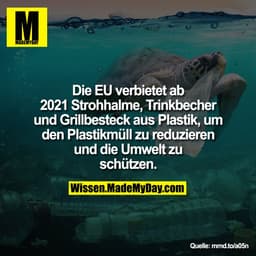 Die EU verbietet ab 2021 Strohhalme, Trinkbecher und Grillbesteck aus Plastik, um den Plastikmüll zu reduzieren und die 