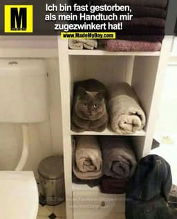 Ich bin fast gestorben,
als mein Handtuch mir
zugezwinkert hat!