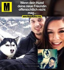 Wenn dein Hund
deine neue Freundin
offensichtlich nicht
mag...