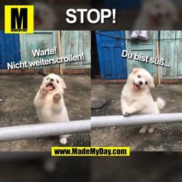 STOP!
Warte!
Nicht weiterscrollen!
Du bist süß...
