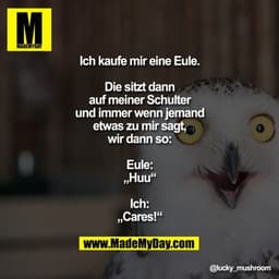 Ich kaufe mir eine Eule.

Die sitzt dann
auf meiner Schulter
und immer wenn jemand
etwas zu mir sagt,
wir dann so:

Eule