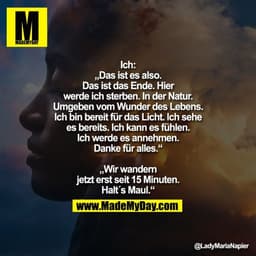 Ich:
„Das ist es also.
Das ist das Ende. Hier
werde ich sterben. In der Natur.
Umgeben vom Wunder des Lebens.
Ich bin be