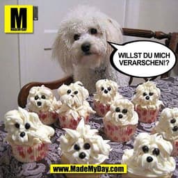 Willst du mich verarschen!?
