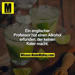 Ein englischer Professor hat einen Alkohol erfunden, der keinen Kater macht.