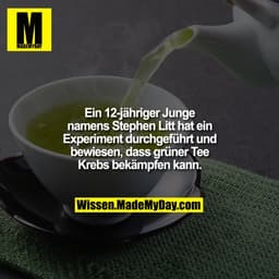 Ein 12-jähriger Junge namens Stephen Litt hat ein Experiment durchgeführt und bewiesen, dass grüner Tee Krebs bekämpfen 