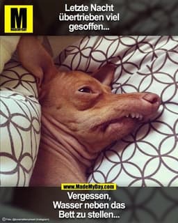 Letzte Nacht
übertrieben viel
gesoffen...

Vergessen,
Wasser neben das
Bett zu stellen...