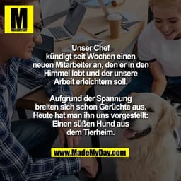 Unser Chef kündigt seit Wochen einen neuen Mitarbeiter an, den er in den Himmel lobt und der unsere Arbeit erleichtern s
