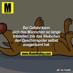 Bei Gefahr kann sich das Männchen so lange totstellen, bis das Weibchen den Geschirrspüler selbst ausgeräumt hat.