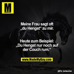 Meine Frau sagt oft „du Hengst“ zu mir.

Heute zum Beispiel:
„Du Hengst nur noch auf der Couch rum.“