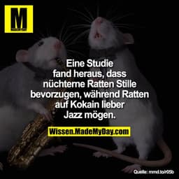 Eine Studie fand heraus, dass nüchterne Ratten Stille bevorzugen, während Ratten auf Kokain lieber Jazz mögen.
mmd.to/r0