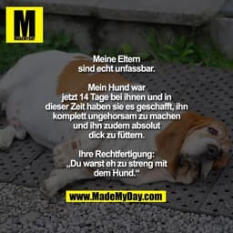 Meine Eltern sind echt unfassbar.
Mein Hund war jetzt 14 Tage bei ihnen und in dieser Zeit haben sie es geschafft, ihn k