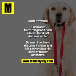 Made my week:
Einem alten Herrn mit
gefühlt noch älterem Hund
fällt die Leine runter. Da
nimmt der Hund die Leine
ins Ma