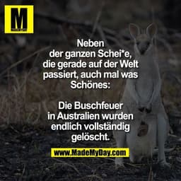 Neben der ganzen Schei*e, die gerade auf der Welt passiert, auch mal was Schönes:
Die Buschfeuer in Australien wurden en
