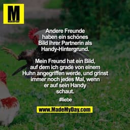 Andere Freunde haben ein schönes Bild ihrer Partnerin als Handy-Hintergrund.
Mein Freund hat ein Bild, auf dem ich grade