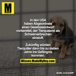 In den USA haben Abgeordnete einen
Gesetzesentwurf vorbereitet, der
Tierquälerei als Schwerverbrechen
einstuft. Zukünfti