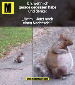 Ich, wenn ich gerade gegessen habe und denke:
„Hmm... Jetzt noch einen Nachtisch!“