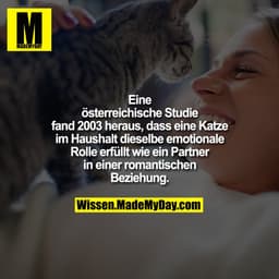 Eine österreichische Studie fand
2003 heraus, dass eine Katze im
Haushalt dieselbe emotionale Rolle
erfüllt wie ein Part