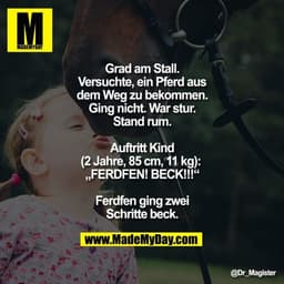 Grad am Stall. Versuchte, ein Pferd aus dem Weg zu bekommen. Ging nicht. War stur. Stand rum. Auftritt Kind (2 Jahre, 85