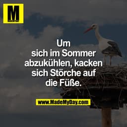 Um sich im Sommer abzukühlen, kacken sich Störche auf die Füße.