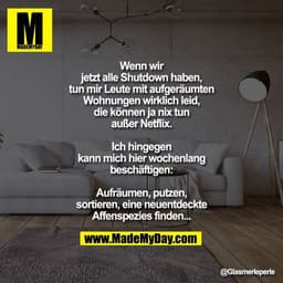 Wenn wir jetzt alle Shutdown haben, tun mir Leute mit aufgeräumten Wohnungen wirklich leid, die können ja nix tun außer 