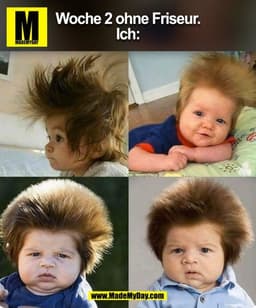 Woche 2 ohne Friseur.
Ich: