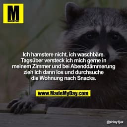 Ich hamstere nicht, ich waschbäre. Tagsüber versteck ich mich gerne in meinem Zimmer und bei Abenddämmerung zieh ich dan