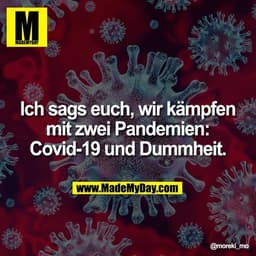 Ich sags euch, wir kämpfen mit zwei Pandemien: Covid-19 und Dummheit.