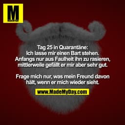 Tag 25 in Quarantäne:
Ich lasse mir einen Bart stehen.
Anfangs nur aus Faulheit ihn zu rasieren, mittlerweile gefällt er