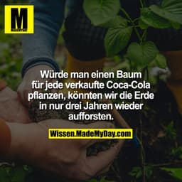 Würde man einen Baum für jede verkaufte Coca-Cola pflanzen,
könnten wir die Erde in nur drei Jahren wieder aufforsten.