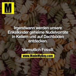 Irgendwann werden unsere
Enkelkinder geheime Nudelvorräte in Kellern und auf Dachböden entdecken.

Vermutlich Fossili.