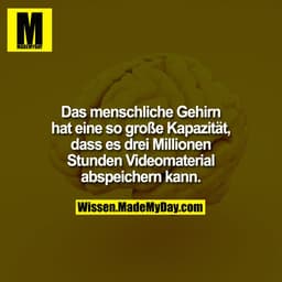 Das menschliche Gehirn hat eine so große Kapazität, dass es drei Millionen Stunden Videomaterial abspeichern kann.