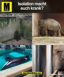 Isolation macht
euch krank?
@landon hanna