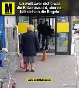 Ich weiß zwar nicht, was
die Katze braucht, aber sie
hält sich an die Regeln
@Gamper Alfred