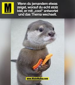 Wenn du jemandem etwas
zeigst, worauf du echt stolz
bist, er mit cool" antwortet
und das Thema wechselt.