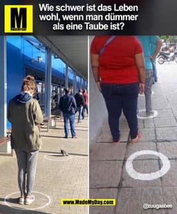 Wie schwer ist das Leben
wohl, wenn man dümmer
als eine Taube ist?
@zuugaabee