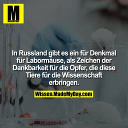In Russland gibt es ein für Denkmal für Labormäuse, als Zeichen der
Dankbarkeit für die Opfer, die diese Tiere für die W