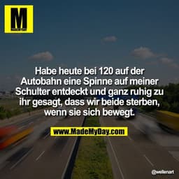 Habe heute bei 120 auf der Autobahn eine Spinne auf meiner Schulter entdeckt und ganz ruhig zu ihr gesagt, dass wir beid