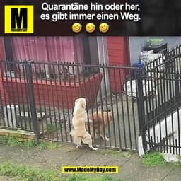 Quarantäne hin oder her,
es gibt immer einen Weg.