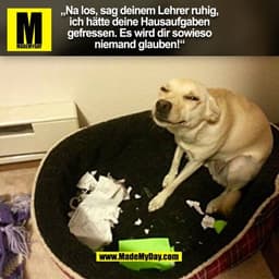 „Na los, sag deinem Lehrer ruhig,
ich hätte deine Hausaufgaben
gefressen. Es wird dir sowieso
niemand glauben!"