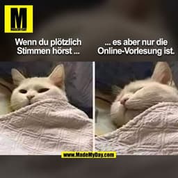 ... es aber nur die
Wenn du plötzlich
Stimmen hörst ...
Online-Vorlesung ist.