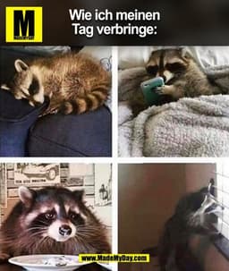 Wie ich meinen
Tag verbringe: