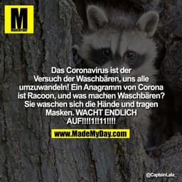 Das Coronavirus ist der Versuch der Waschbären, uns alle umzuwandeln! Ein Anagramm von Corona ist Racoon, und was machen