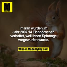 Im Iran wurden im Jahr 2007 14 Eichhörnchen verhaftet, weil ihnen Spionage vorgewurfen wurde.