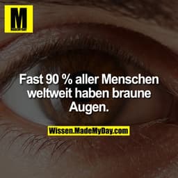 Fast 90 % aller Menschen weltweit haben braune Augen.