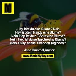 „Hey, bist du eine Blume? Nein. Hey, ist dein Handy eine Blume? Nein. Hey, ist dein T-Shirt eine Blume? Nein. Hey, ist d