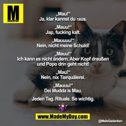 „Mau!“
„Ja, klar kannst du raus.“
„Mauu!“
„Jap, fucking kalt.“
„Mauuuu!“
„Nein, nicht meine Schuld!“
„Mauu!“
„Ich kann e